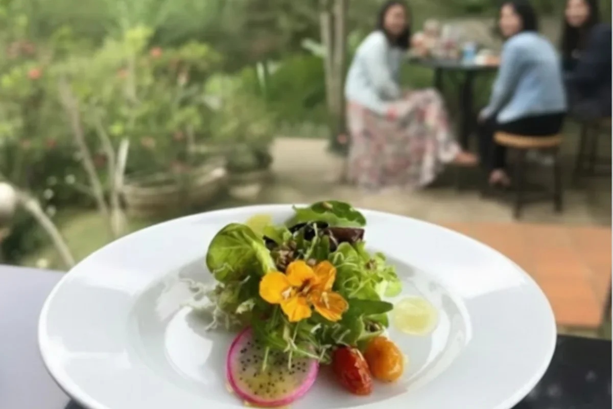 prato de salada