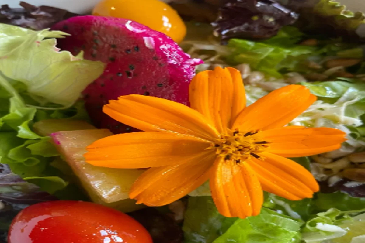 salada
