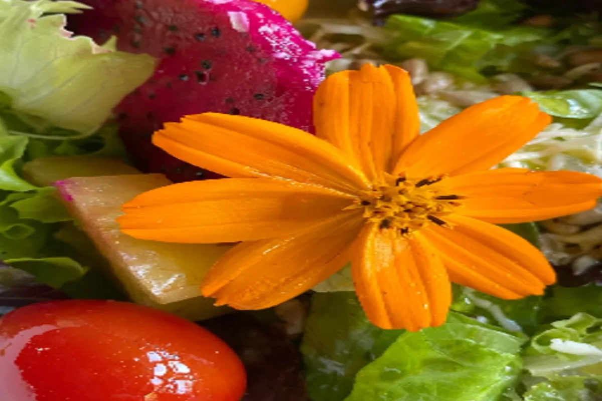 salada