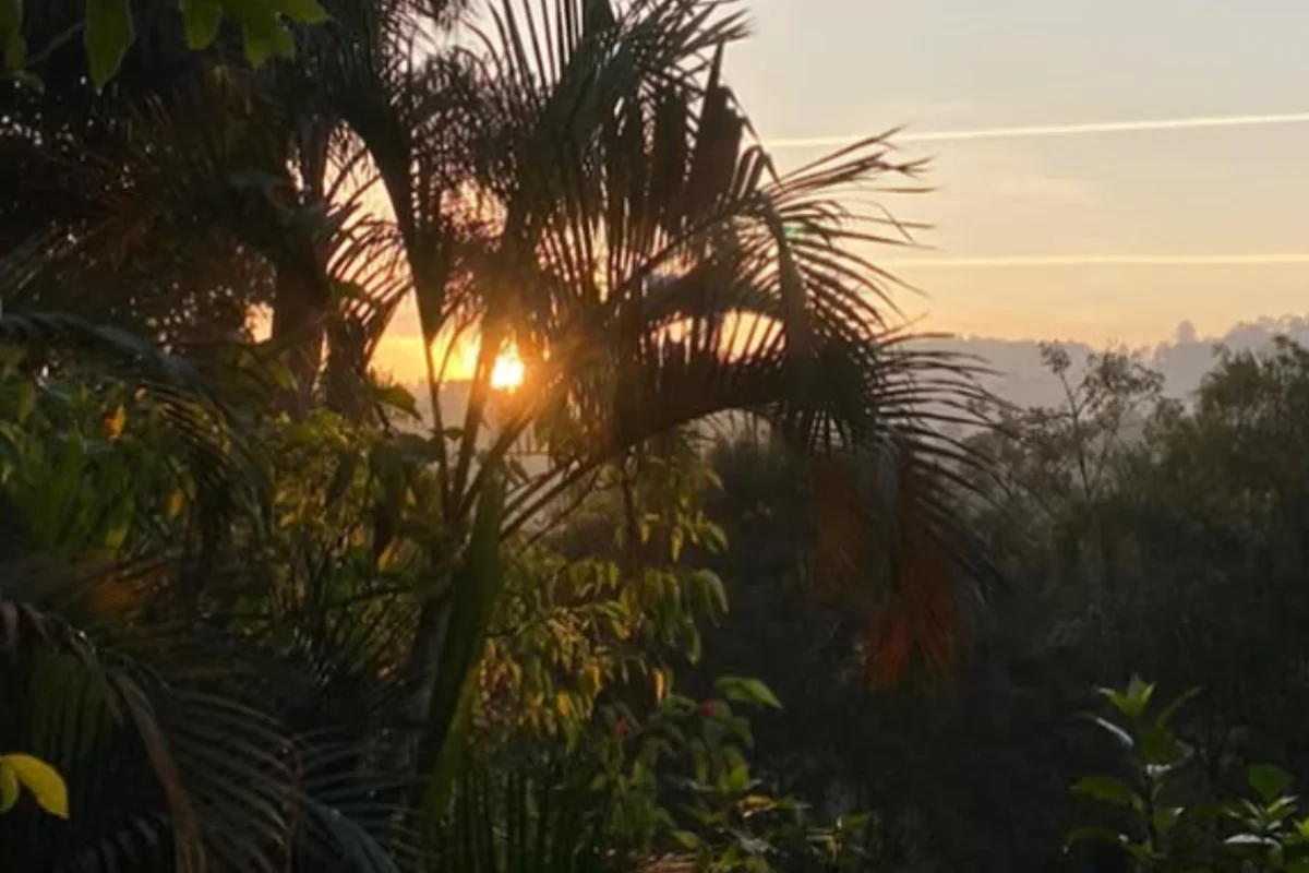 paisagem